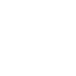 BrownRepublicnet-logo