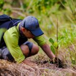 Smart tree planting N Ecija 2018