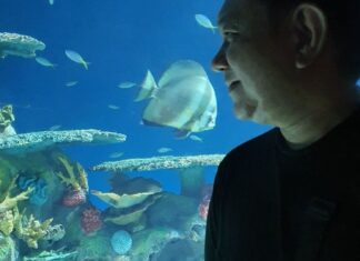 An Over and Under the Sea Adventure at Manila Ocean Park’s 8 Amazing Attractions