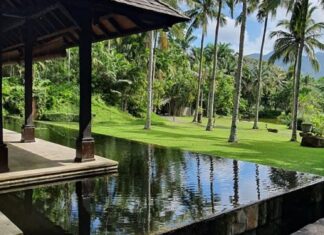 CALABARZON Chronicles: A Sneak Peak of The Farm At San Benito