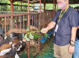 Graciously Farming With A Heart At GRACO Farms and Leisure, Inc.